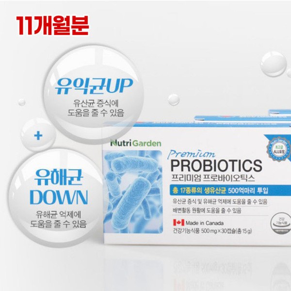 Premium Probiotics Canada Lactobacillus 11-month supply / 프리미엄 프로바이오틱스 캐나다 유산균 11개월분