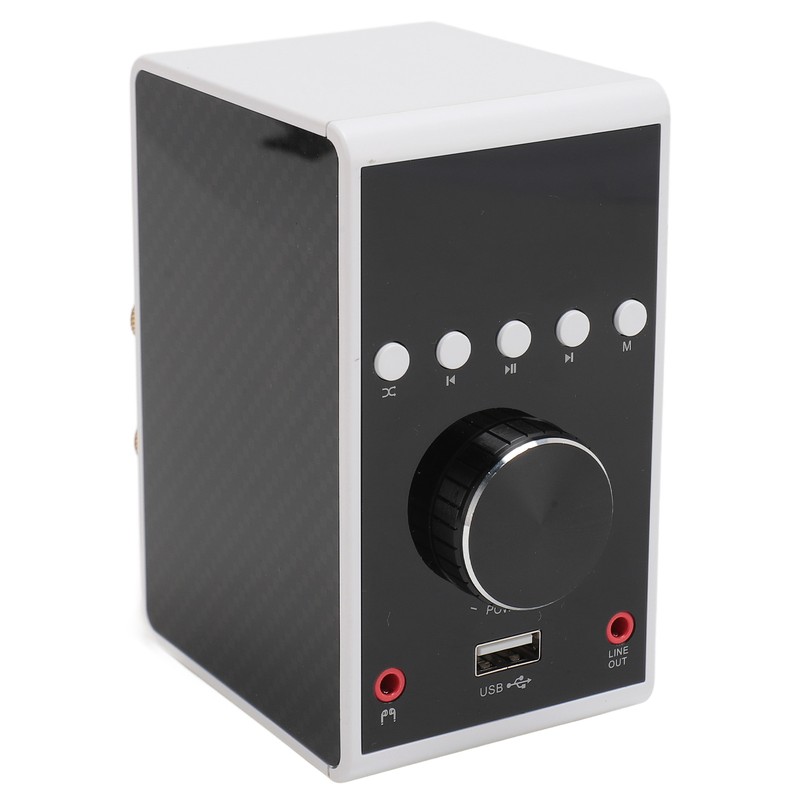 200W Bluetooth 5.0 Amplifier HIFI Stereo Sound Digital Amp Wireless