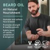 BADGER Beard Grooming Kit, 1 Each