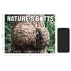 Gag Gifts - 2024 Wall Calendar, White Elephants Natures's Butts,