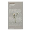 Love Tea Chamomile Loose Leaf Tea, 50g