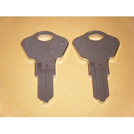 Sentry Safe 3F2 Replacement Keys - Cut Keys Work Out of Envelope - Check Your Lock - Fits Sentry Safe 1100 1160 1170 1200 HO100 1170BLK H0100 & More