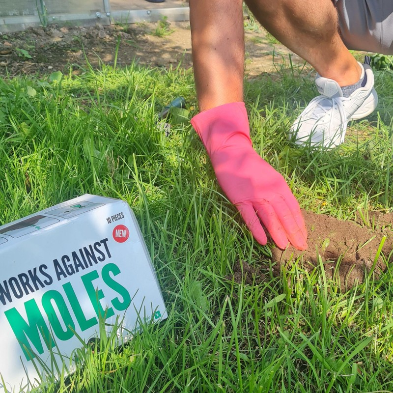 Natural Mole Deterrent Non-Toxic Protection Against Moles 10 Bags Strong