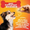 Paw Science Dog Multivitamin 20 in 1, Dog Vitamins and