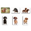 Merchandise for Fans Dachshund / Teckel / Dachshund - 6