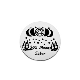 Lywjyb Birdgot Sobriety Gift 365 Days Sobriety Token Sobriety Coin Sober Gifts for Men Women (365 Moons Sober)
