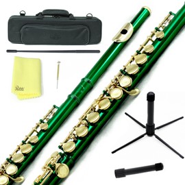 Sky C Flute with Lightweight Case, Cleaning Rod, Cloth, Joint Grease and Screw Driver - green