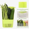 LUVCOSY Herb Keeper, BPA-Free Plastic Herb Saver with an Inner