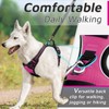 Eagloo Dog Harness No Pull, Walking Pet Harness with 2