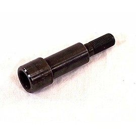 Irs Pivot Bolt, for Beetle 69-79, Ghia 69-74, Each, Compatible with Dune Buggy