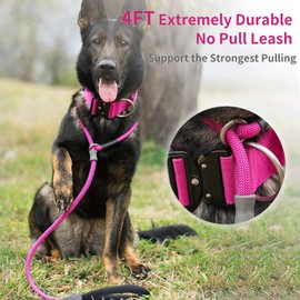 Strong Slip Lead Dog Leash, Heavy Duty Nylon Dog Training Leash, Durable Grey Dog Rope Lead No Pull Walking Leash with Rubber Stopper & Padded Handle for Small Medium Large Puppy Dogs 1.2m Hot Pink
