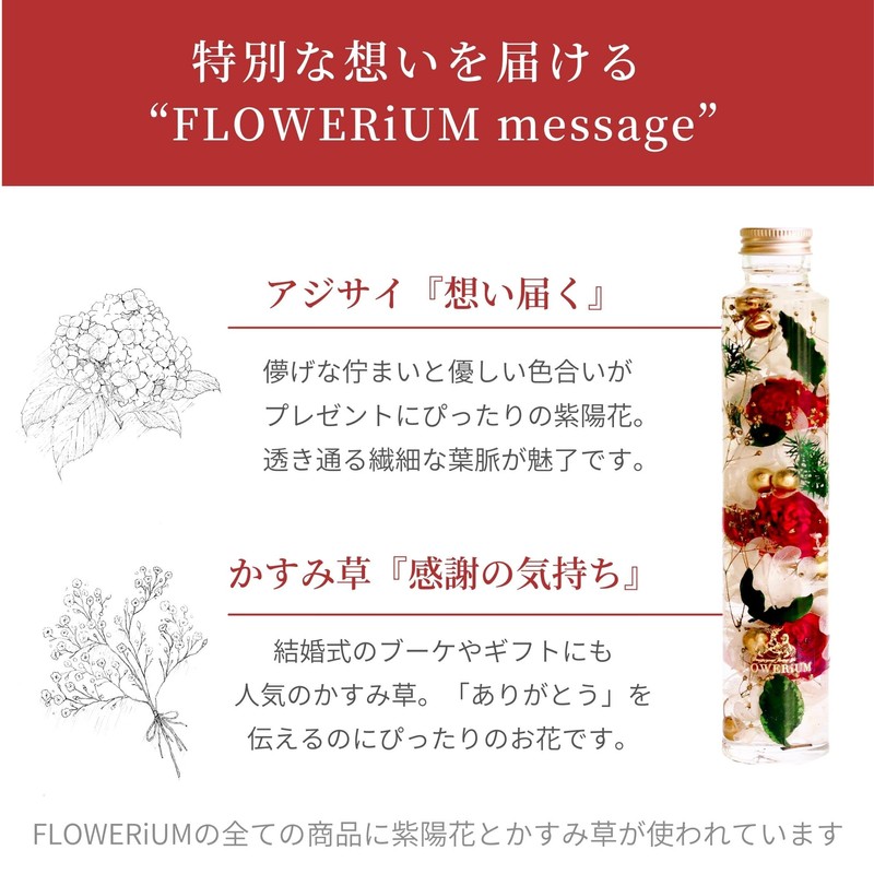 FLOWERiUM Herbarium Gift 2024 Flower Gift Anniversary Birthday Present for