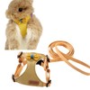 Rabbit Harness and Leash - Adjustable Bunny Harness Escape Proof
