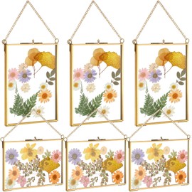 6 Pieces Brass Double Glass Frame 5 x 7 Inch Gold Floating Hanging Photo Frame Clear Horizontal and Vertical Pressed Flower Frames with Chain for Gallery Pictures Vintage Artwork Display