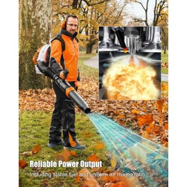 Carburetor Fit for Stihl BR800 BR800X BR800CE Backpack Blowers, Replace 4283-120-0601 42831200601 4283-141-0300 4283-007-1700, Leaf Blower Carb Tune Up Kit