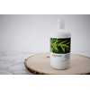 GREAT CLIPS Solutions Tea Tree Conditioner 12 fl oz |