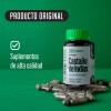 Castao De Indias Kalanchoe 60 Cps Bienestar De Piernas Sin