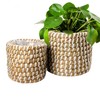 Gina Da Set of 2 baskets, Seagrass Planter, Plant Pot,