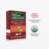 Indus Valley Organic 100% Pure and Natural Henna Hair Colour