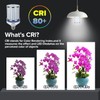 HJFF 2 Pack Led Light Bulb 700W Equivalent 11000 Lumen