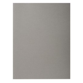 Exacompta 217109E 10 Pack Aktendeckel für DIN A4 24 x 32 cm für lose Blattablage grau