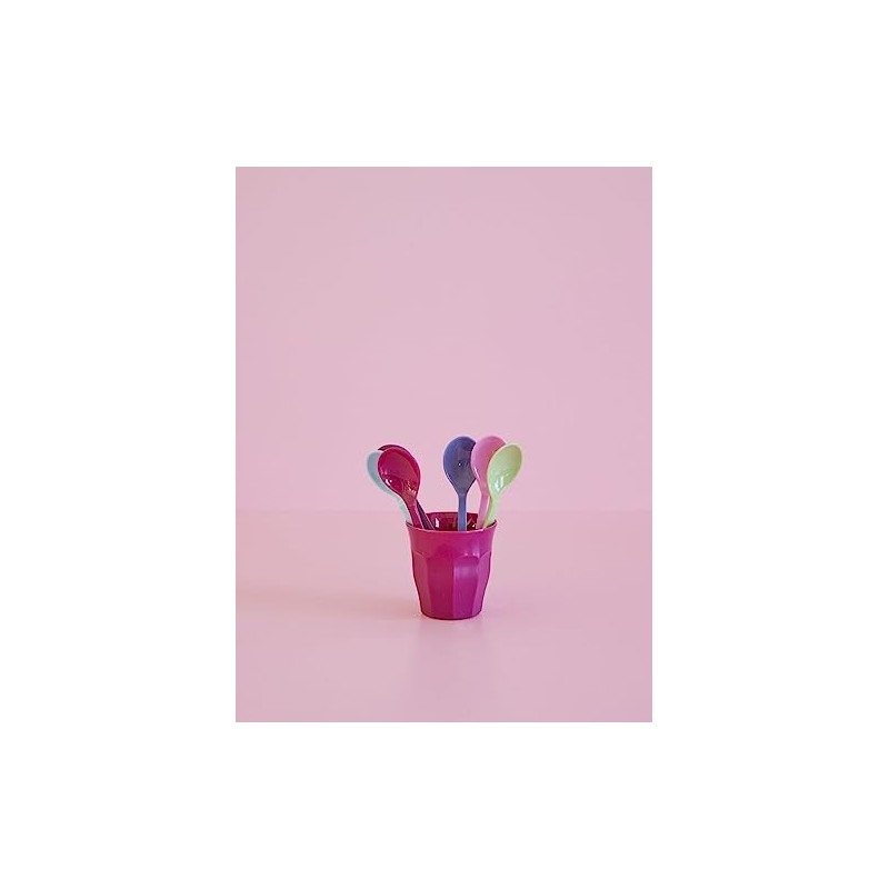 Rice Melamine Teaspoons Teaspoons Set of 6 Multi-Coloured
