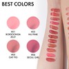 AMUSE Jel-Fit Tint 3.8 g (06 Seoul Girl)