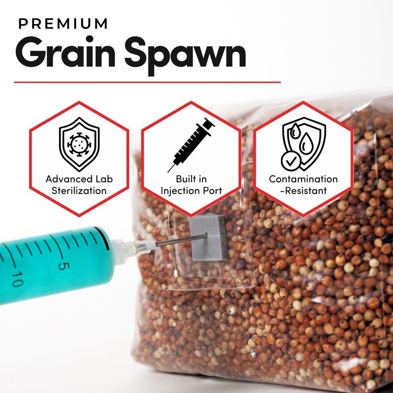 Mycelium 5 lb Milo Grain Spawn for Mushroom Cultivation |