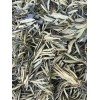 FRESH & WET California YERBA SANTA Loose Clusters For Smudge