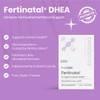 Fertinatal Ovaterra Micronized DHEA Supplement for Women, Natural DHEA 25mg