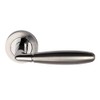 Excel DH3590 Phoenix Passage Door Handles on Round Rose, Polished/Satin