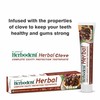 Herbodent® Herbal Clove Toothpaste - 6.53 oz Pack of 6