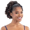 Shake-N-Go Updo Elegant Ponytail (JET BLACK 1)