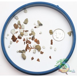 Bonsai Jack Universal Organic Bonsai Soil Mix #221, 2 Gallons