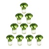 Choose Bike Green Disc Brake Rotor Bolts Screws