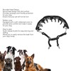 Prong Dog Training Collar Professional Adjustable Prong Pet Collar with