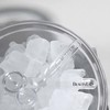 BeautyLab® Facial Ice Globe Duo