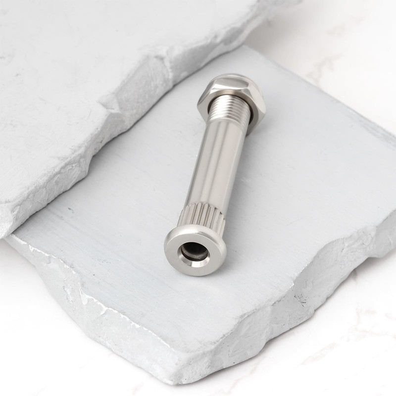 LT Easiyl Skateboard Truck Kingpin and Nut, Silver, 4pcs