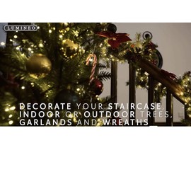 Lumineo 1000 LED Warm White Christmas Compact Lights Set, Transparent Wire 74 Feet