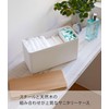 Yamazaki 4808 Sanitary Storage Case, Natural, Approx. W 9.06 x
