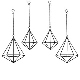 libproqia Hanging Airplants Holders Geometric Air Plants Hangers Metal Tillandsia Display Cages Air Fens Frame for Indoor Plants Décor 4 Pcs Black …