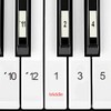 Numbered Piano Keyboard Stickers in Classic Numbers Design with 4