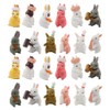 SHIDXIB 24Pcs Plastic Rabbit Figures Animal Rabbit Character Set Fairy