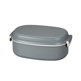 Tatsumiya Quick Wash Lunch Box Premium Ash Gray 730 30557