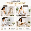 The Aroma Factory Organic Incense Dhoop Cones (Saffron Sandal, Rose,