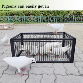 Pigeon Trap Cage, One-Way Entrance Escape-Proof Bird Traps, Easy to Install Outdoor Harmless Live Birds Cages for Catch Pigeons, Sparrow, Chicken, Lofts (Standard)