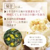 無農薬 有機栽培 高濃度こだわり 菊芋 イヌリン ドイツ産 オーガニック 30スティック 顆粒タイプ 菊芋