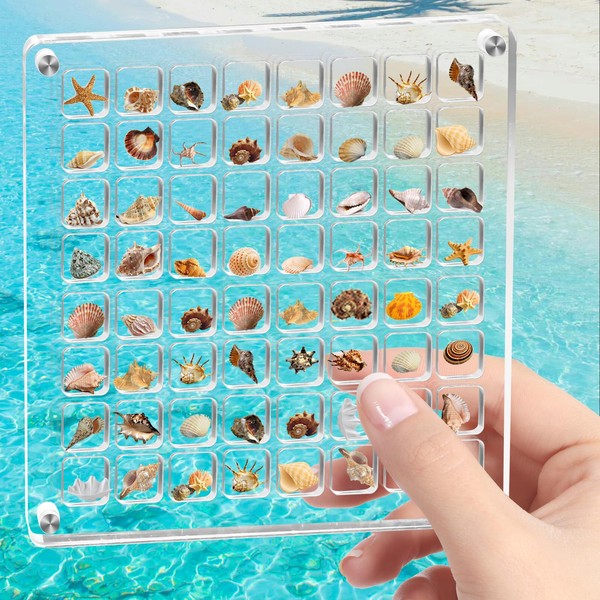 Acrylic Magnetic Seashell Display Box, 64 Grids Acrylic Seashell Display