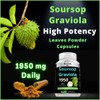1950mg Soursop Graviola Capsules (Guanábana) Organic Leaves Powder Rich in