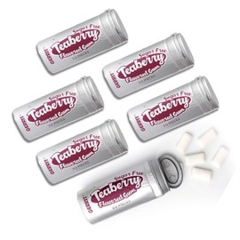 Gerrit Verberg's SUGAR FREE Gum - Gift Packs of 20 Piece Tubes By Lyza's Sweets & Treats (Pack of 6, Teaberry)